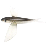 Señuelo de Pesca Pájaro para Atún y Peces Grandes - Trolling Marino