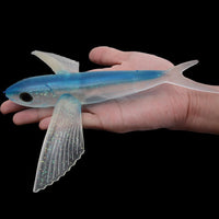 Señuelo de Pesca Pájaro para Atún y Peces Grandes - Trolling Marino